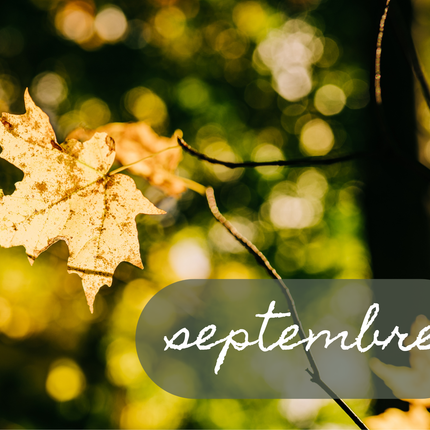 Collection image for: Routines de saison