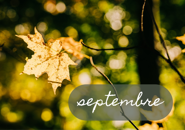 Routines de saison