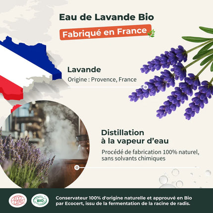 Lavande 100ml - Eau florale Bio