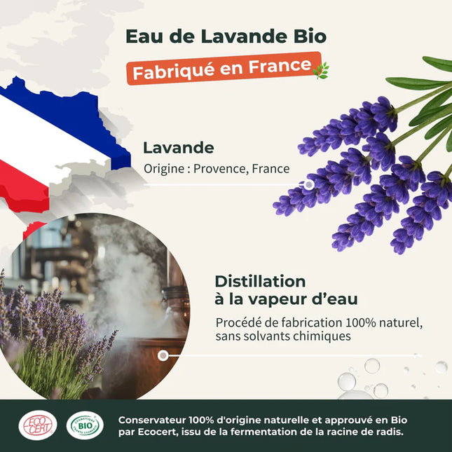 Lavande 100ml - Eau florale Bio