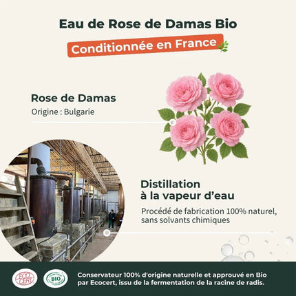 Rose de Damas 100ml - Eau florale Bio