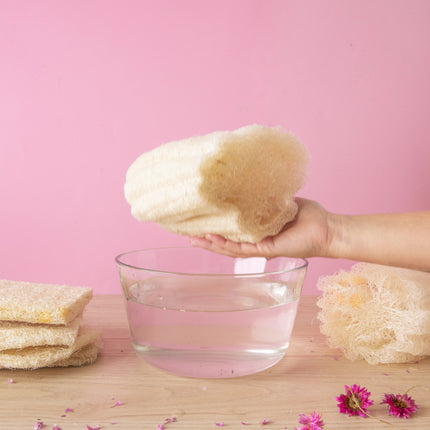 Loofah brut exfoliant | Luffa