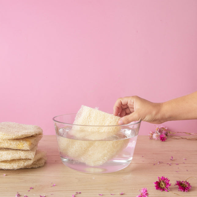 Loofah brut exfoliant | Luffa