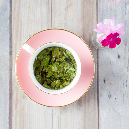 Menthe poivrée - Infusion bio