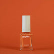 Orange Pomone