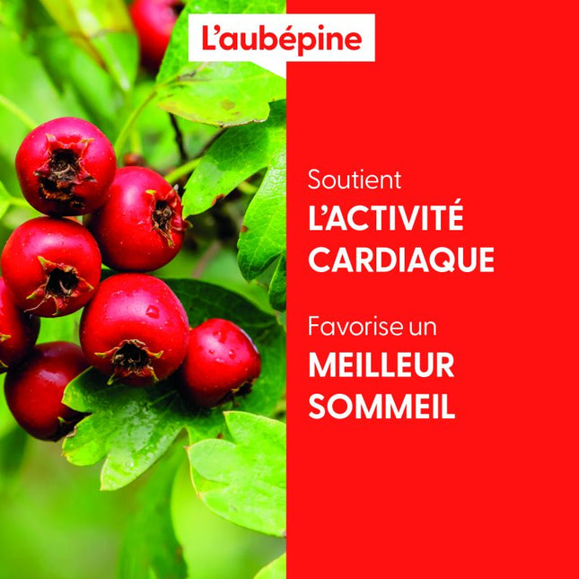 Aubépine 15mL - Macérât de bourgeons bio