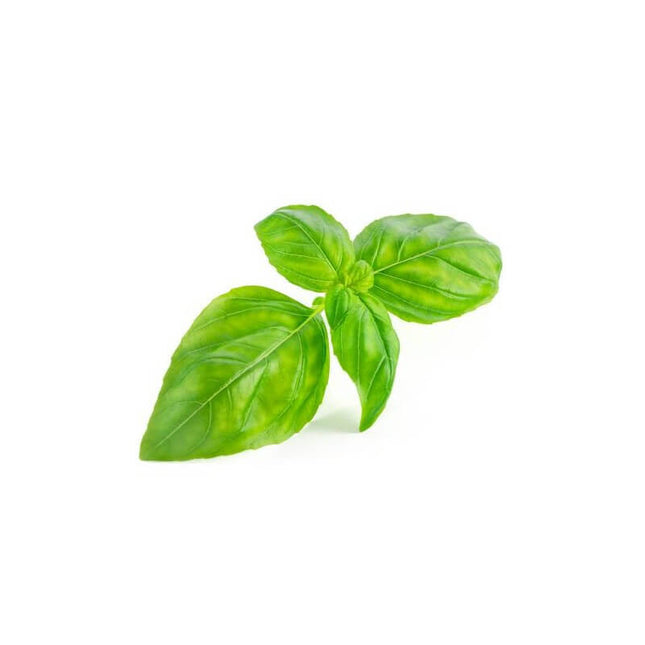 Basilic tropical - Huile essentielle bio