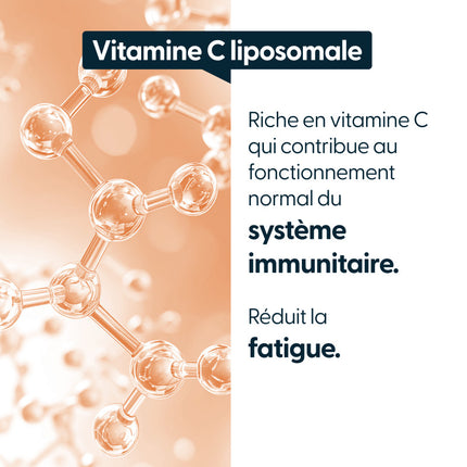 Vitamine C liposomale DuraLipo™ 500 mg - Biodisponibilité supérieure