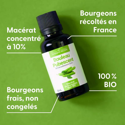 Bouleau pubescent 15ml - Macérât de bourgeons bio