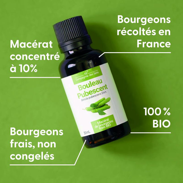 Bouleau pubescent 15ml - Macérât de bourgeons bio
