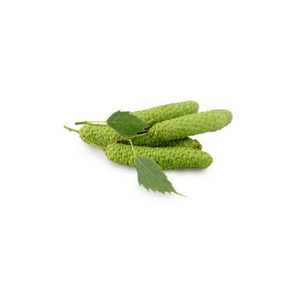Bouleau pubescent 15ml - Macérât de bourgeons bio