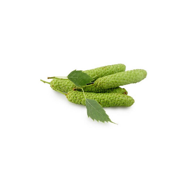 Bouleau pubescent 15ml - Macérât de bourgeons bio