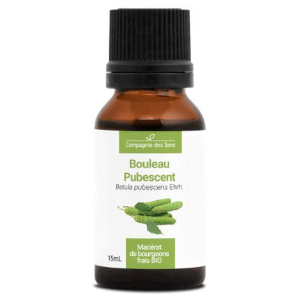 Bouleau pubescent 15ml - Macérât de bourgeons bio