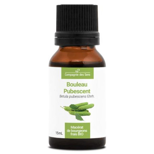 Bouleau pubescent 15ml - Macérât de bourgeons bio