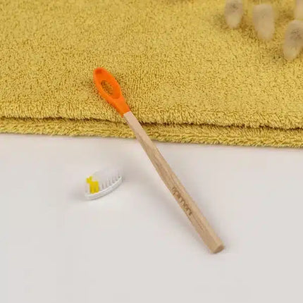 Brosse à dents rechargeable - Manche en bois