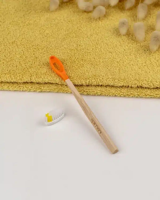 Brosse à dents rechargeable - Manche en bois
