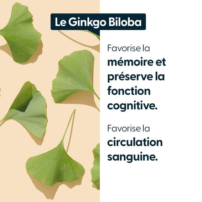 Ginkgo Biloba concentré - 12 000 mg par jour