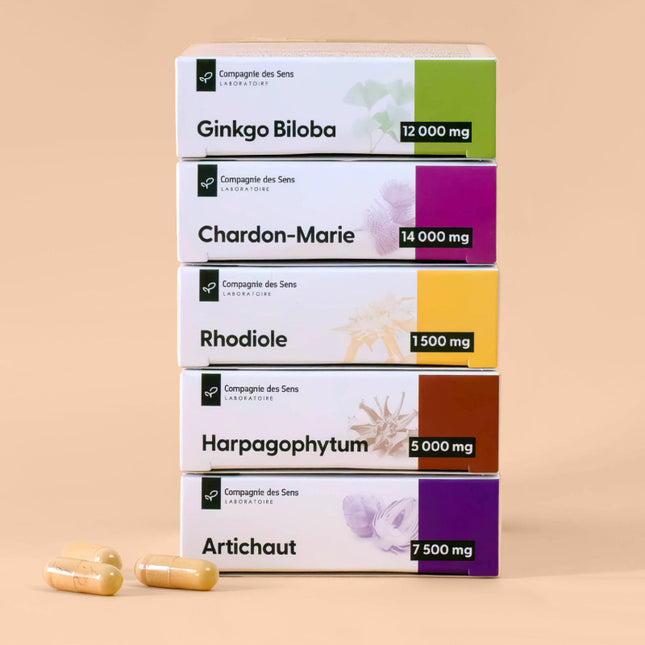 Ginkgo Biloba concentré - 12 000 mg par jour