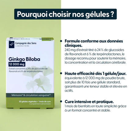 Ginkgo Biloba concentré - 12 000 mg par jour