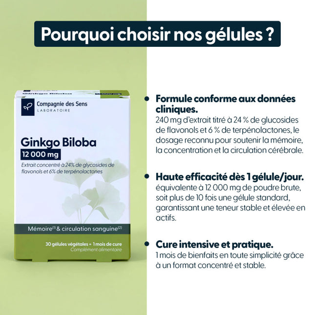 Ginkgo Biloba concentré - 12 000 mg par jour