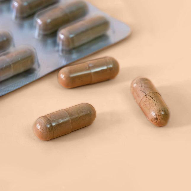 Ginkgo Biloba concentré - 12 000 mg par jour