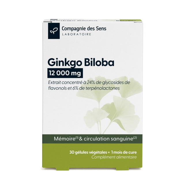 Ginkgo Biloba concentré - 12 000 mg par jour