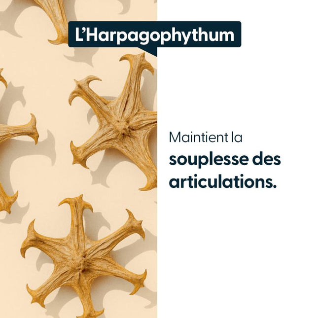 Harpagophytum concentré - 5 000 mg par jour