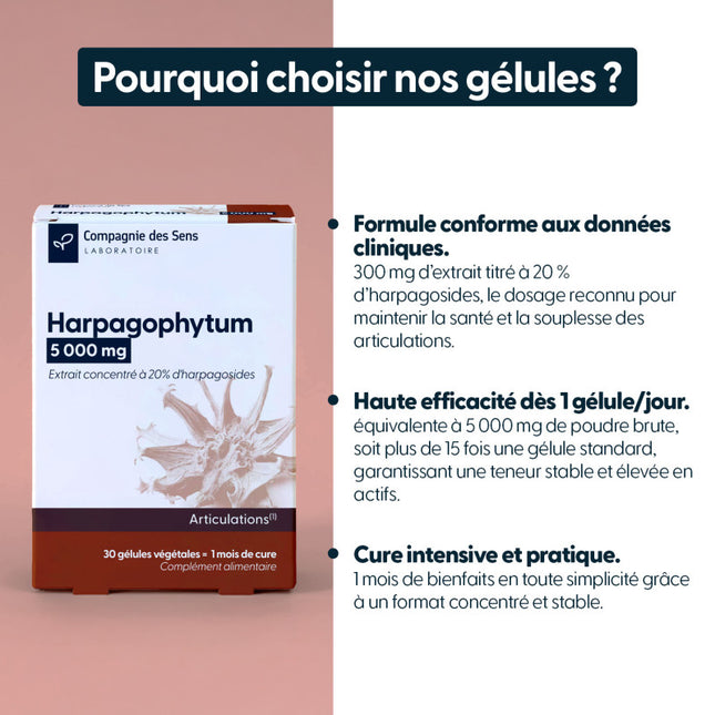 Harpagophytum concentré - 5 000 mg par jour