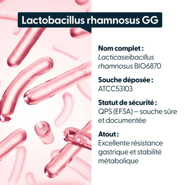 Lactobacillus rhamnosus GG - 200 Milliards d'UFC/g
