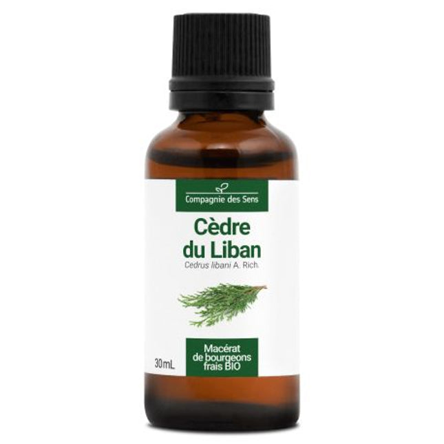 Cèdre du Liban 30ml - Macérât de bourgeons bio