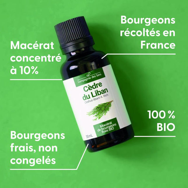 Cèdre du Liban 30ml - Macérât de bourgeons bio