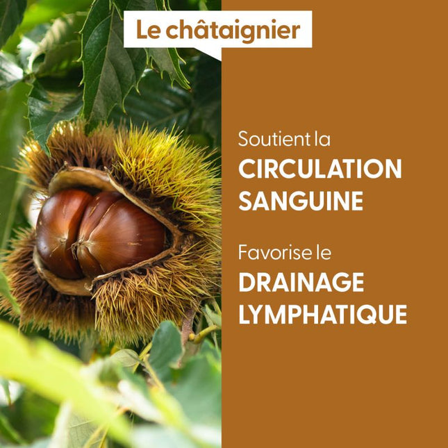 Châtaignier 15ml - Macérât de bourgeons bio