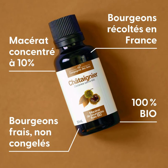 Châtaignier 15ml - Macérât de bourgeons bio