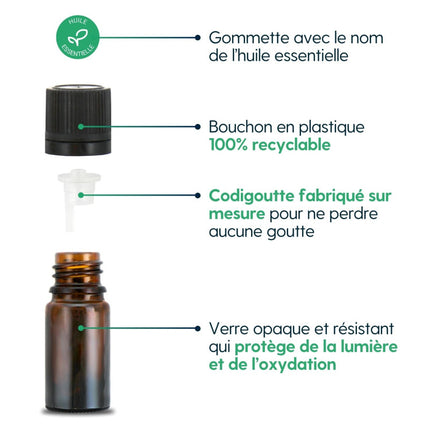 Eucalyptus citronné - Huile essentielle bio