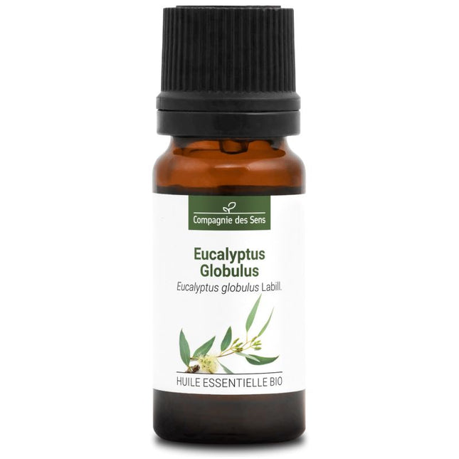 Eucalyptus globulus - Huile essentielle bio