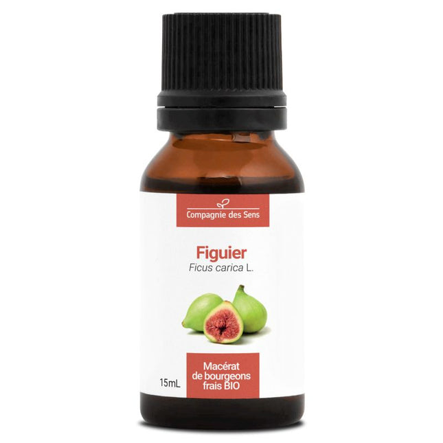 Figuier 15 ml - Macérât de bourgeons bio