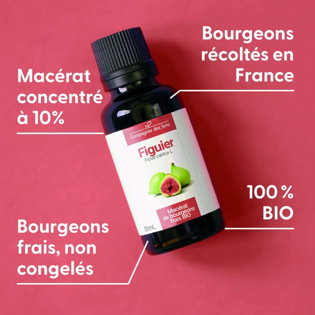 Figuier 15 ml - Macérât de bourgeons bio