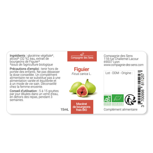 Figuier 15 ml - Macérât de bourgeons bio