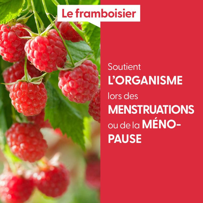 Framboisier 15ml - Macérât de bourgeons bio