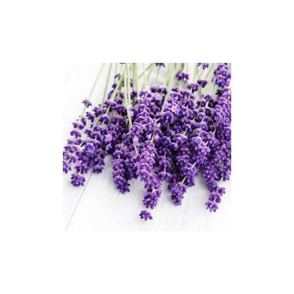 Lavandin super - Huile essentielle bio