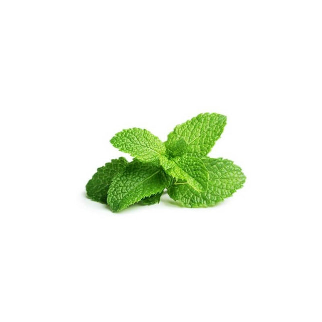 Menthe poivrée - Huile essentielle bio