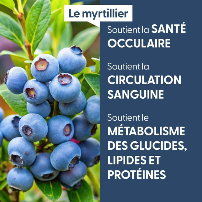 Myrtillier 15ml - Macérât de bourgeons bio