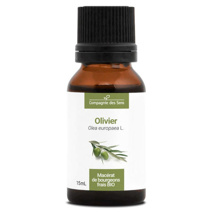 Olivier 15ml - Macérât de bourgeons bio