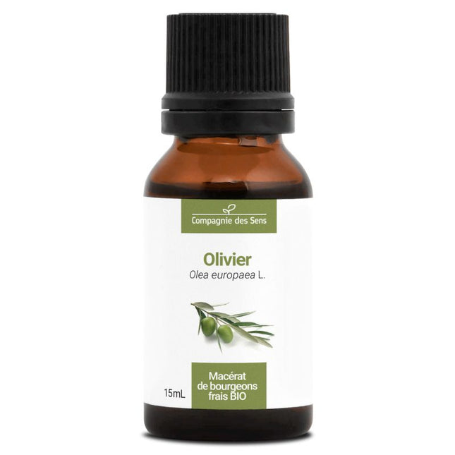 Olivier 15ml - Macérât de bourgeons bio