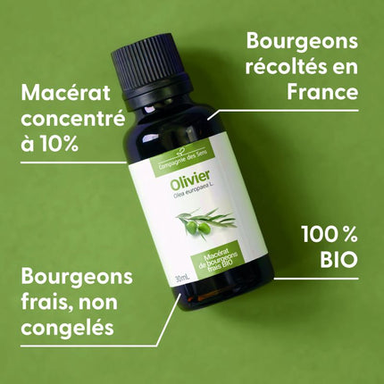 Olivier 15ml - Macérât de bourgeons bio