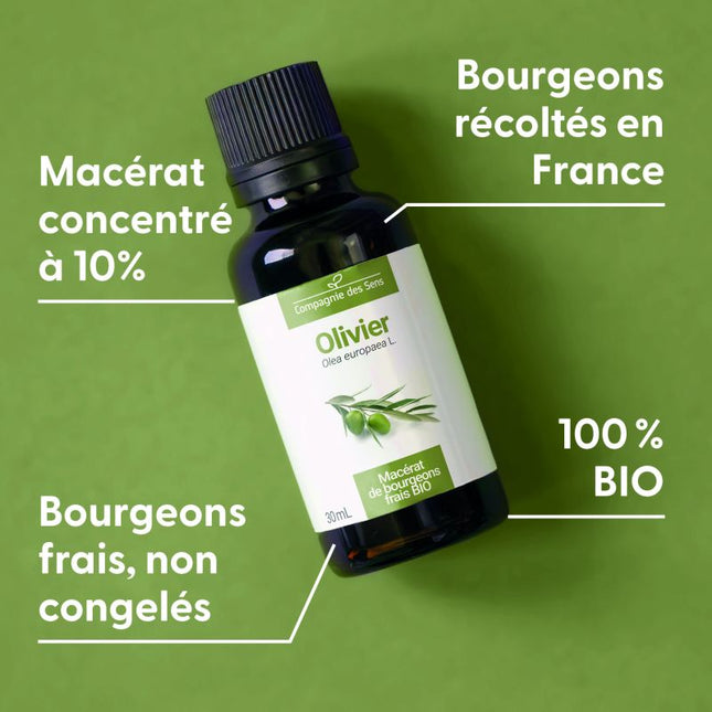 Olivier 15ml - Macérât de bourgeons bio