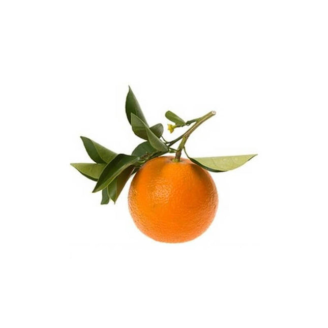 Petit grain bigarade - Huile essentielle bio
