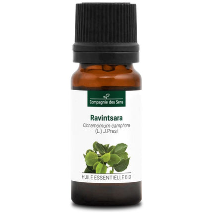 Ravintsara - Huile essentielle bio