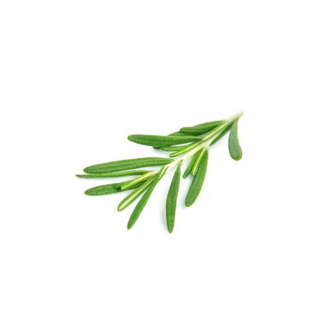 Romarin à cinéole - Huile essentielle bio