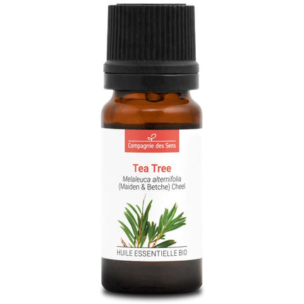 Tea tree - Huile essentielle bio